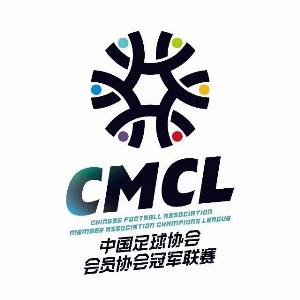 v站-湖州美奇退出2025中冠联赛总决赛，北京灵动星空递补参赛